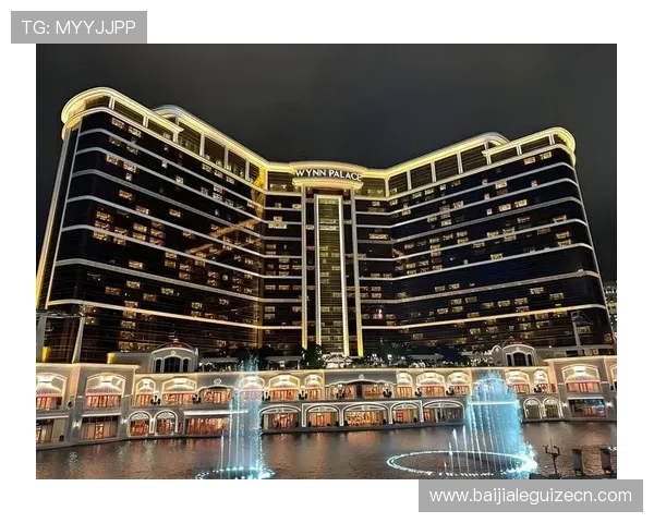 如何选择适合自己的百家乐录单软件，提升游戏胜率和数据分析能力的实用指南